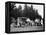 A Group of People on an Outing with their Cars, C1929-C1930-null-Framed Premier Image Canvas