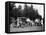 A Group of People on an Outing with their Cars, C1929-C1930-null-Framed Premier Image Canvas