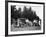 A Group of People on an Outing with their Cars, C1929-C1930-null-Framed Photographic Print