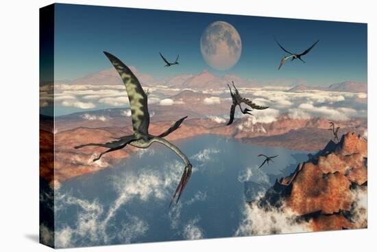 Stretched Canvas Print, , large