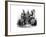 A Group of Sioux Indians, 1872-null-Framed Giclee Print