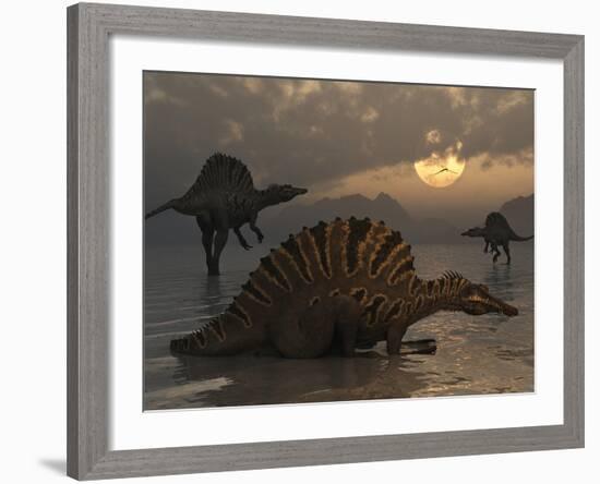 A Group of Spinosaurus-Stocktrek Images-Framed Photographic Print