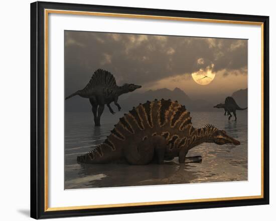 A Group of Spinosaurus-Stocktrek Images-Framed Photographic Print