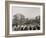 A Group of Texas Cowboys-null-Framed Photo