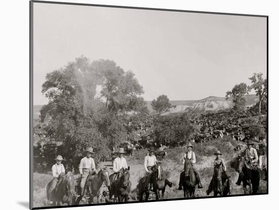 A Group of Texas Cowboys-null-Mounted Photo