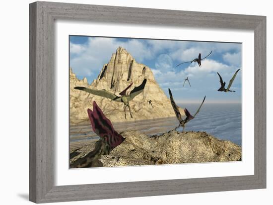 A Group of Thalassodromeus Pterosaurs-Stocktrek Images-Framed Art Print