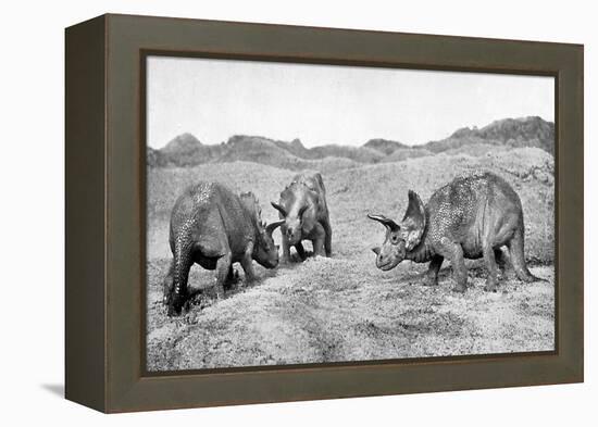 A Group of Triceratops, 20th Century-null-Framed Premier Image Canvas