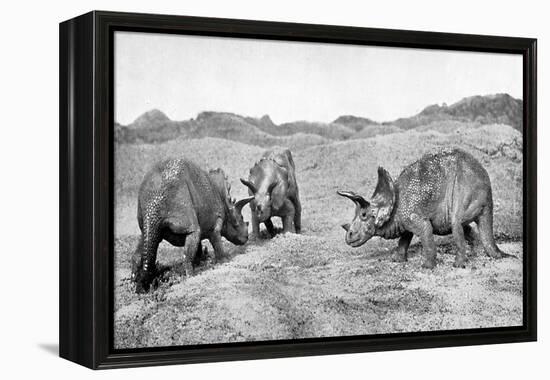 A Group of Triceratops, 20th Century-null-Framed Premier Image Canvas