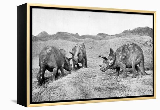 A Group of Triceratops, 20th Century-null-Framed Premier Image Canvas