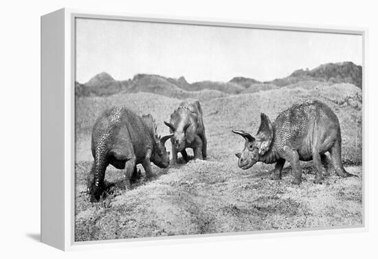 A Group of Triceratops, 20th Century-null-Framed Premier Image Canvas