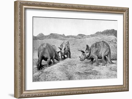 A Group of Triceratops, 20th Century-null-Framed Giclee Print