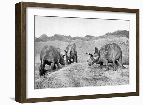 A Group of Triceratops, 20th Century-null-Framed Giclee Print