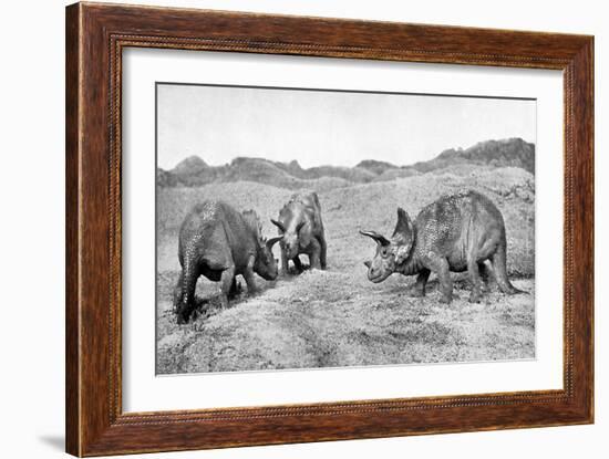 A Group of Triceratops, 20th Century-null-Framed Giclee Print