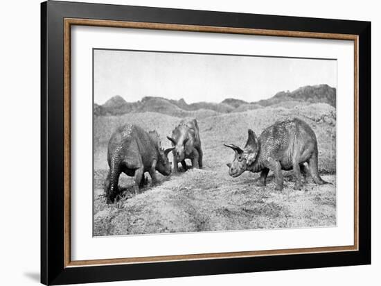 A Group of Triceratops, 20th Century-null-Framed Giclee Print