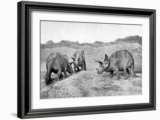 A Group of Triceratops, 20th Century-null-Framed Giclee Print