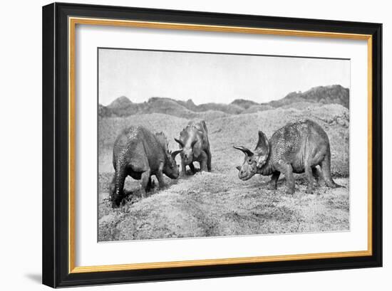 A Group of Triceratops, 20th Century-null-Framed Giclee Print