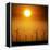 A Group of Wind Turbines are Silhouetted by the Setting Sun-Charlie Riedel-Framed Premier Image Canvas