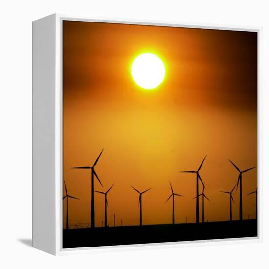 A Group of Wind Turbines are Silhouetted by the Setting Sun-Charlie Riedel-Framed Premier Image Canvas