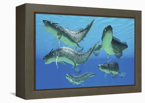 A Group of Xenacanthus Prehistoric Sharks-null-Framed Stretched Canvas