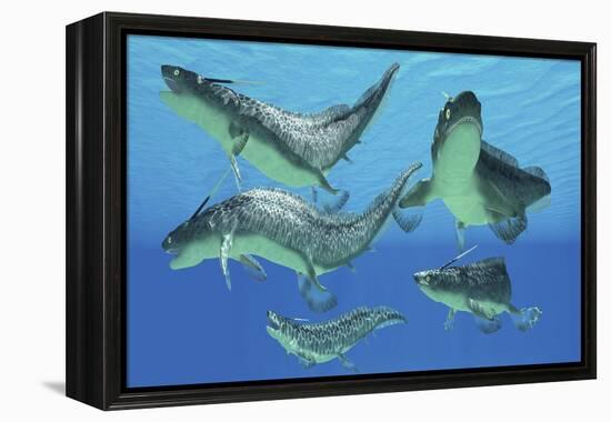 A Group of Xenacanthus Prehistoric Sharks-null-Framed Stretched Canvas