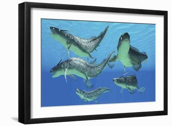 A Group of Xenacanthus Prehistoric Sharks-null-Framed Premium Giclee Print