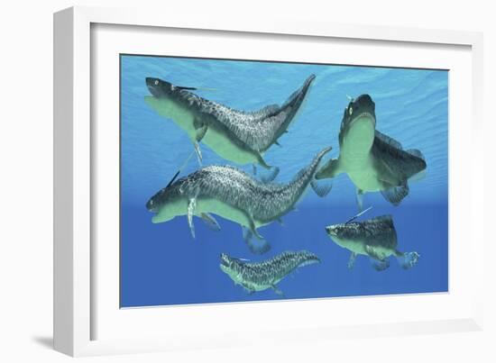 A Group of Xenacanthus Prehistoric Sharks-null-Framed Premium Giclee Print