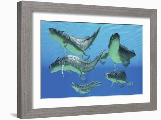 A Group of Xenacanthus Prehistoric Sharks-null-Framed Art Print