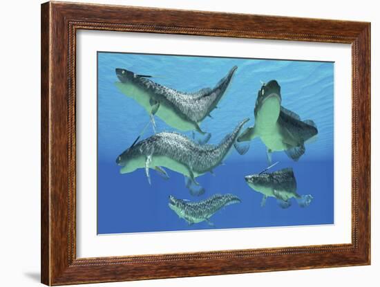 A Group of Xenacanthus Prehistoric Sharks-null-Framed Art Print