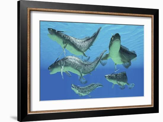 A Group of Xenacanthus Prehistoric Sharks-null-Framed Art Print