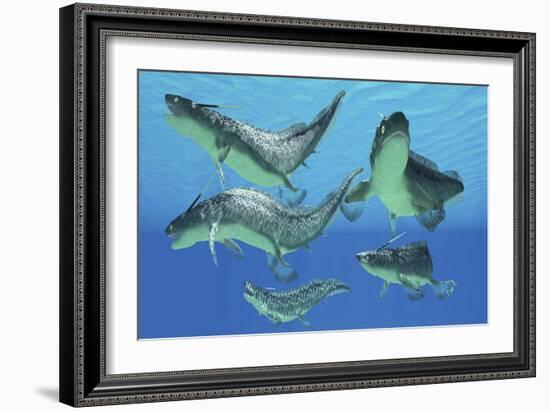 A Group of Xenacanthus Prehistoric Sharks-null-Framed Art Print