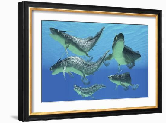 A Group of Xenacanthus Prehistoric Sharks-null-Framed Art Print