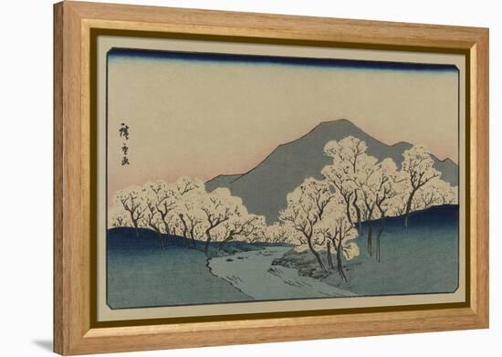 A Grove of Cherry Trees (Sakura Namiki Zu)-Ando Hiroshige-Framed Stretched Canvas