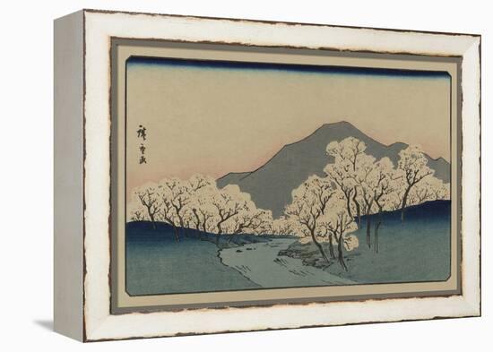 A Grove of Cherry Trees (Sakura Namiki Zu)-Ando Hiroshige-Framed Stretched Canvas