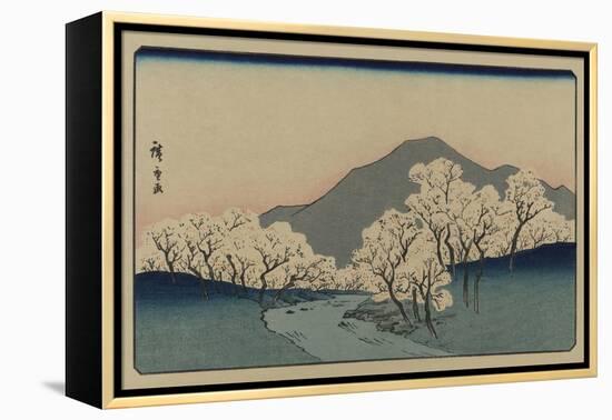 A Grove of Cherry Trees (Sakura Namiki Zu)-Ando Hiroshige-Framed Stretched Canvas