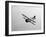 A Grumman F3F Biplane in Flight-Stocktrek Images-Framed Photographic Print