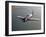A Grumman F8F Bearcat in Flight-Stocktrek Images-Framed Premium Photographic Print