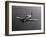 A Grumman F8F Bearcat in Flight-Stocktrek Images-Framed Photographic Print