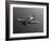 A Grumman F8F Bearcat in Flight-Stocktrek Images-Framed Photographic Print