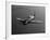 A Grumman F8F Bearcat in Flight-Stocktrek Images-Framed Photographic Print