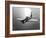 A Grumman F8F Bearcat in Flight-Stocktrek Images-Framed Photographic Print