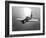 A Grumman F8F Bearcat in Flight-Stocktrek Images-Framed Photographic Print