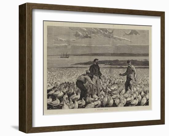 A Guano Bed-Joseph Nash-Framed Giclee Print