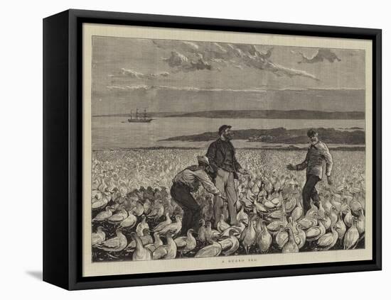 A Guano Bed-Joseph Nash-Framed Premier Image Canvas