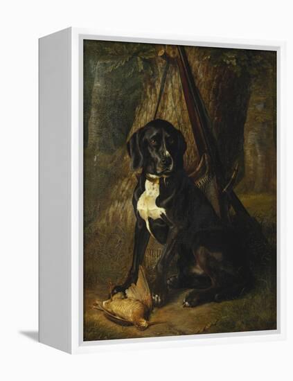 A Gun Dog with a Woodcock, 1842-William Hammer-Framed Premier Image Canvas