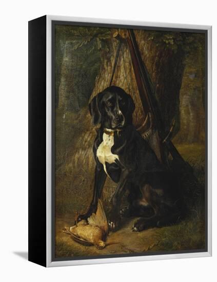 A Gun Dog with a Woodcock-William Hammer-Framed Premier Image Canvas