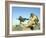 A Gunner Sits Atop a British Army WMIK Land Rover-Stocktrek Images-Framed Photographic Print