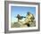 A Gunner Sits Atop a British Army WMIK Land Rover-Stocktrek Images-Framed Photographic Print