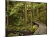 A.H. Reed Memorial Kauri Park, Whangarei, Northland, North Island, New Zealand-David Wall-Mounted Photographic Print