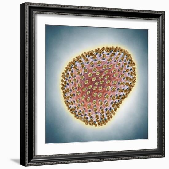 A(H1N1) (Swine flu) virus illustration-Matthias Kulka-Framed Giclee Print