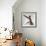 A hairless sphinx cat takes a swing at a toy-James White-Framed Photographic Print displayed on a wall